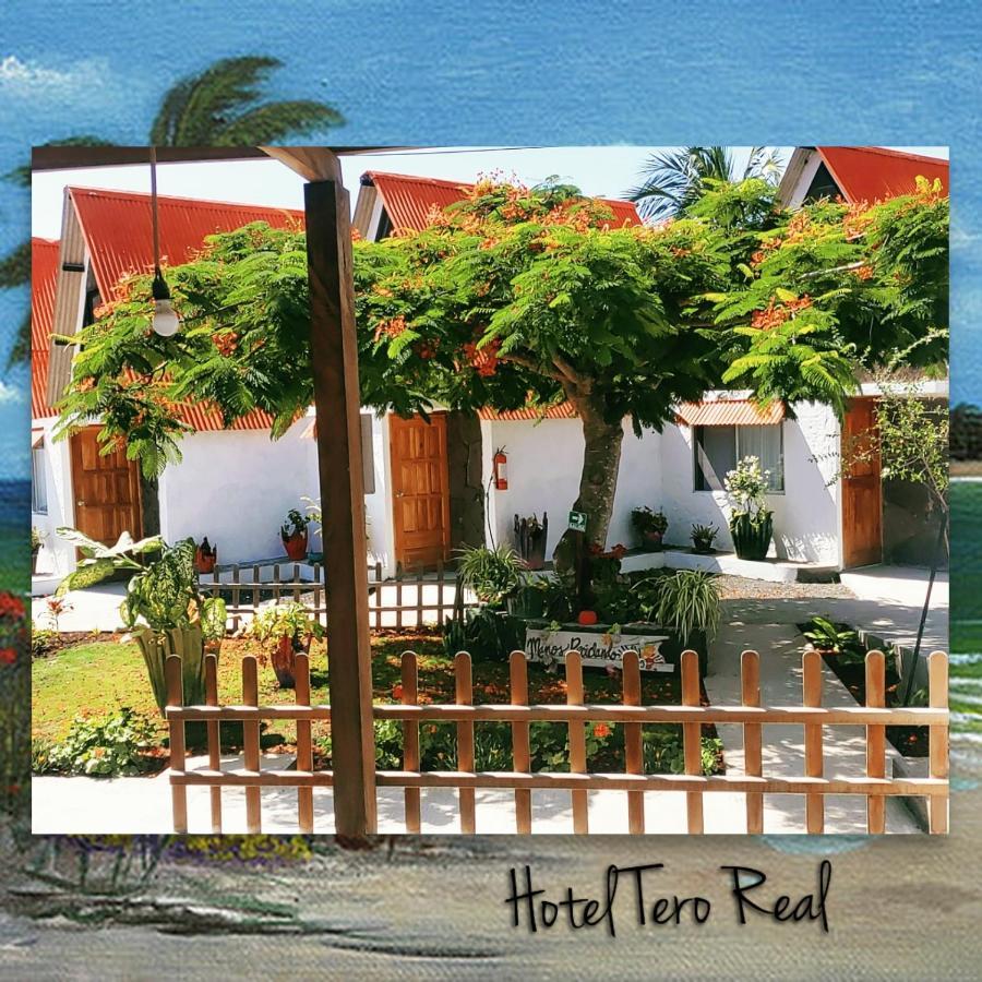 Campsite Tero Real