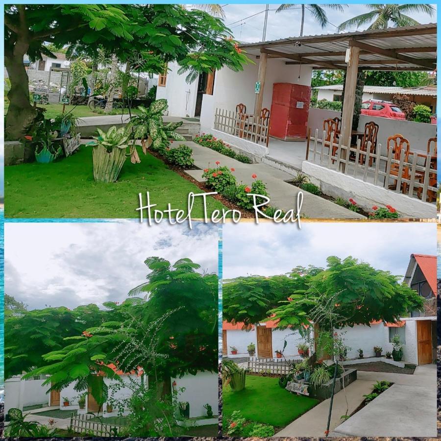 Tero Real Campsite *