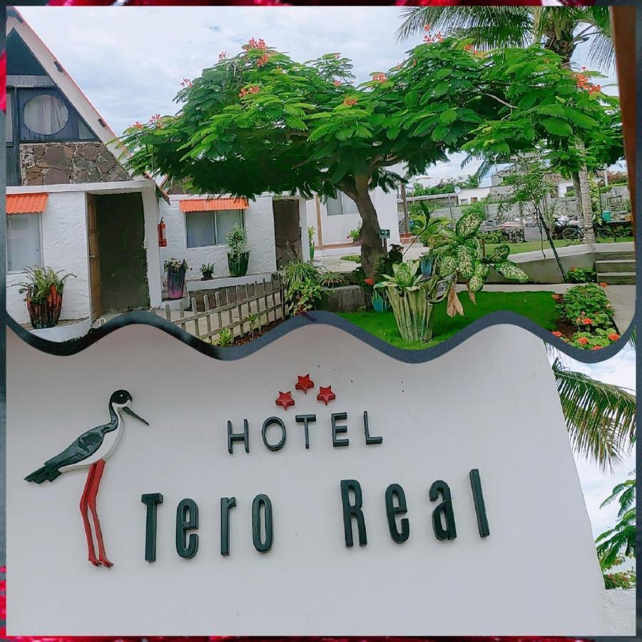 Campsite Tero Real *