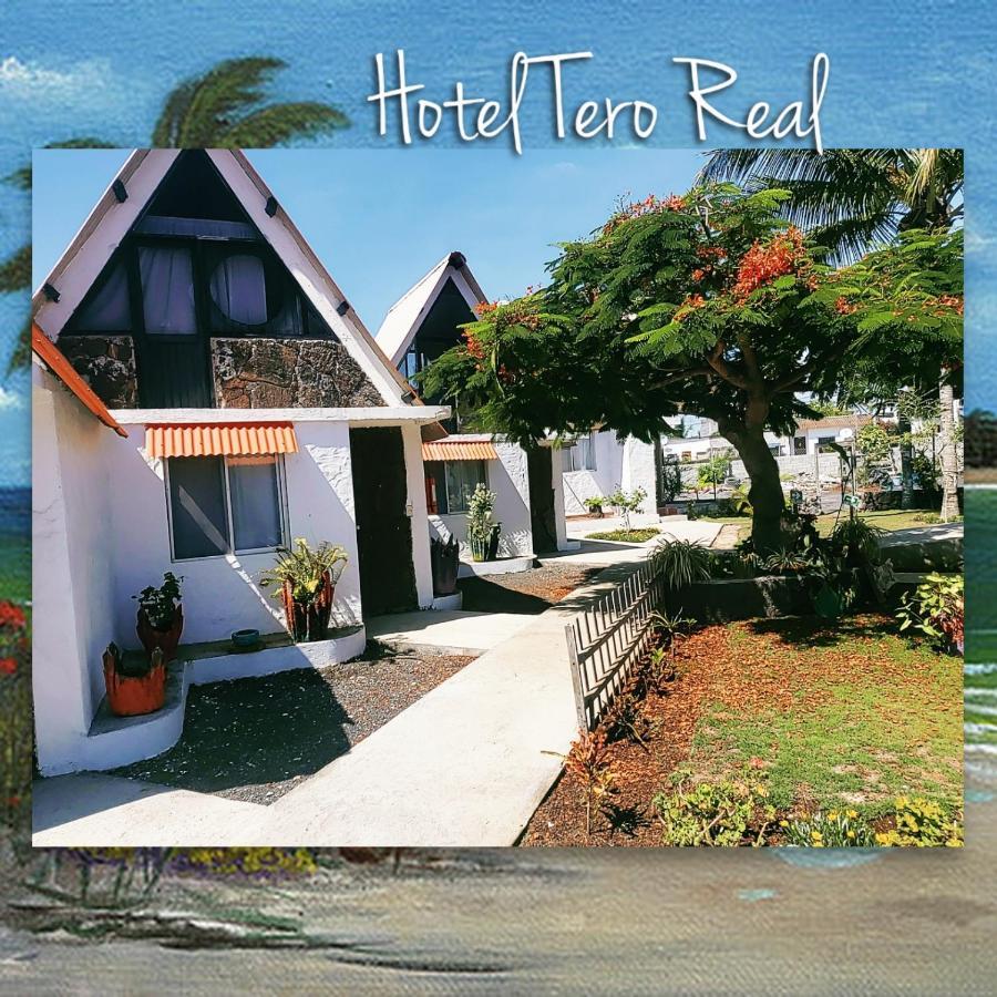 Tero Real Campsite *