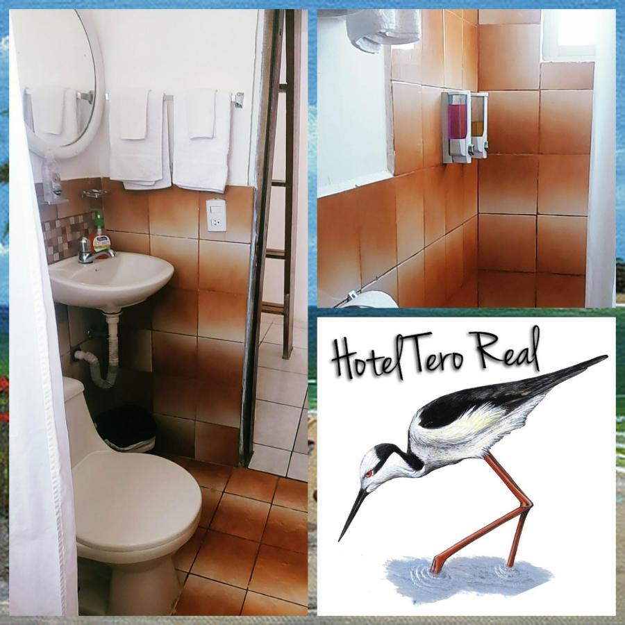 Tero Real Campsite *