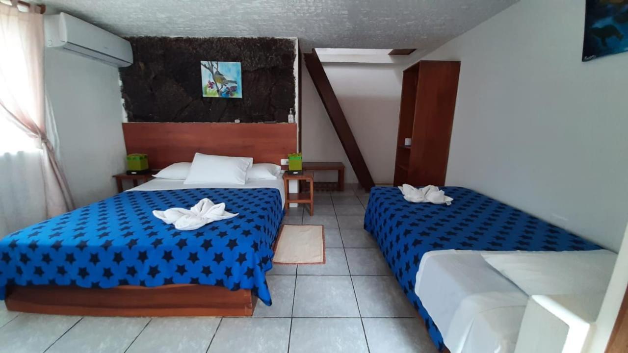 Campsite Tero Real